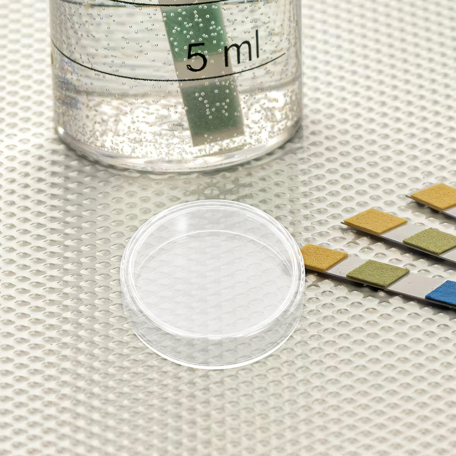 Agar Tissue Culture - 10 Pcs Agar Plates Tissue Culture