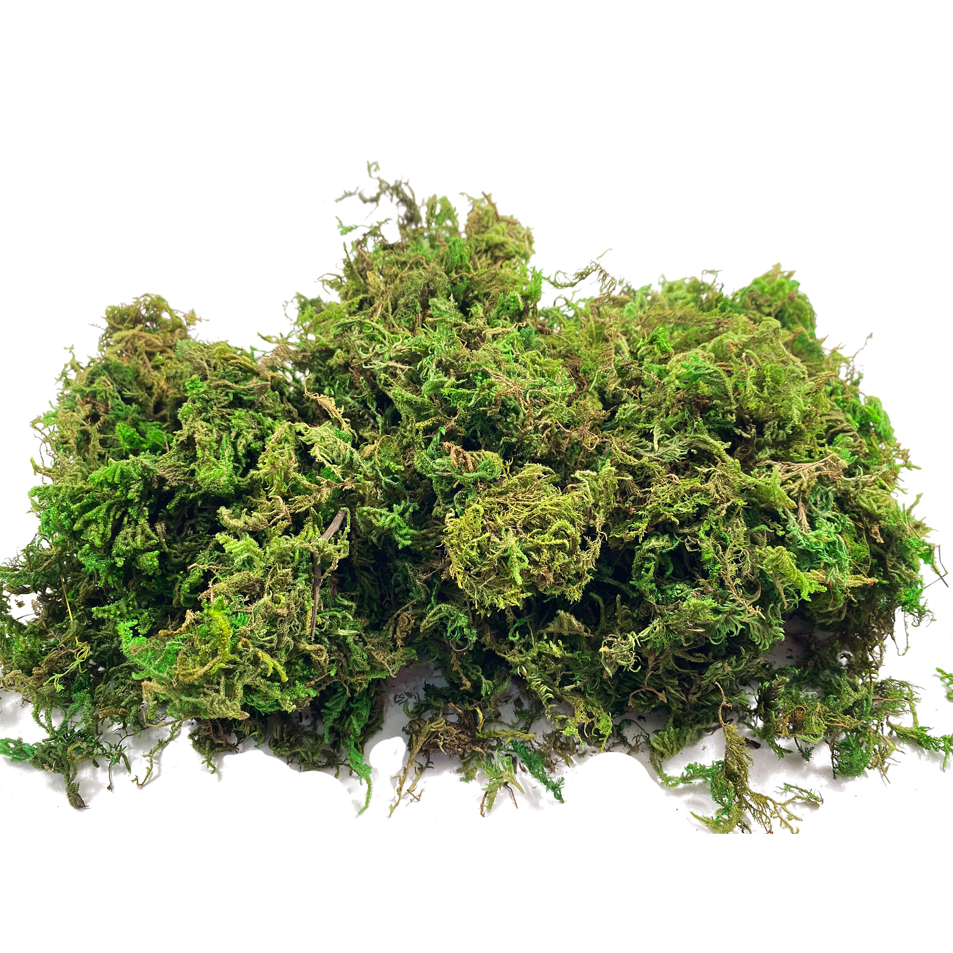 Sphagnum Moss Dry - Artificial Fake Moss, Craft Moss for