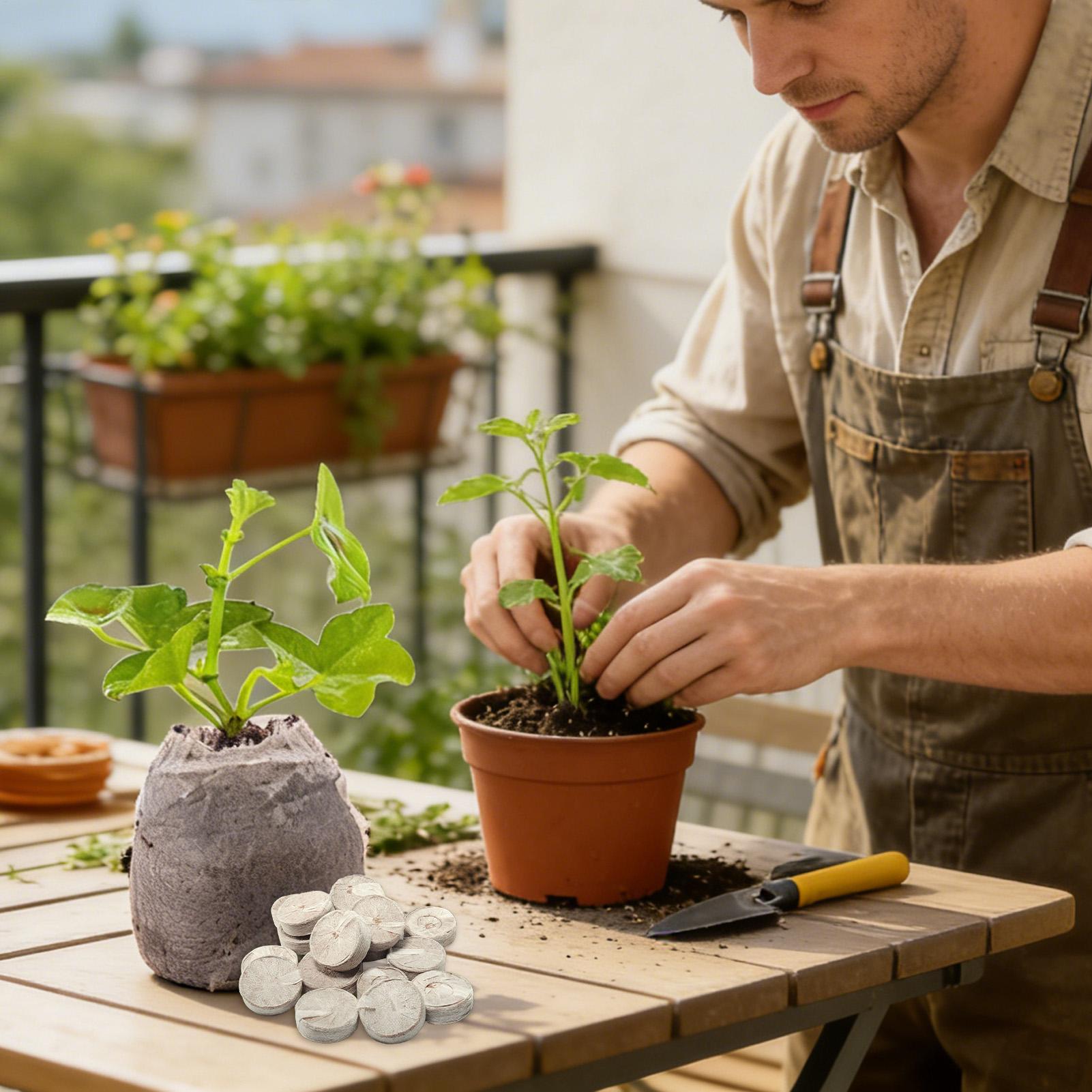 Peat Pellets 100 Piece Potting - Peat Pellet Tray recensie en prijs