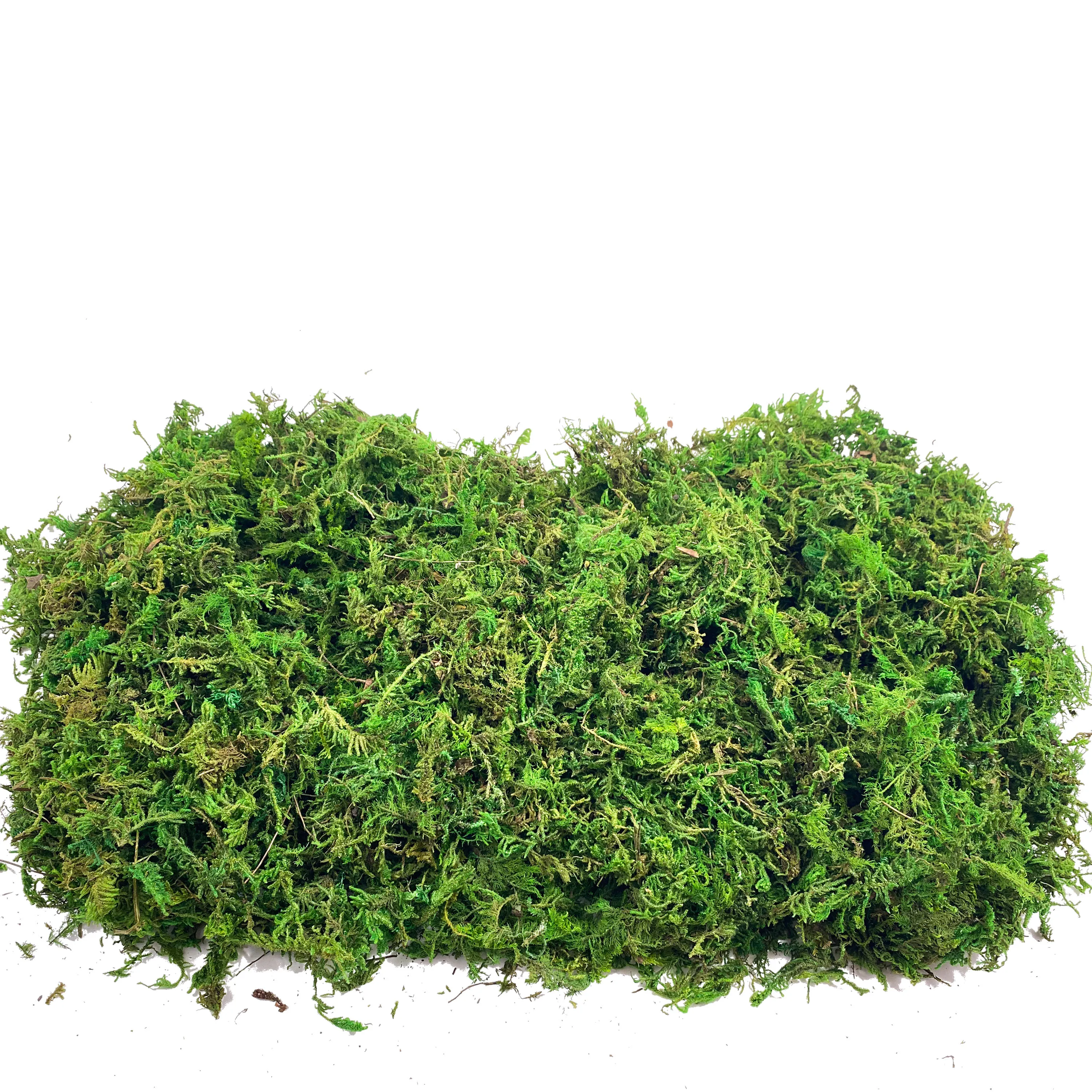 Fake Moss Artificial Moss for  - Sphagnum Moss Dry recensie en prijs