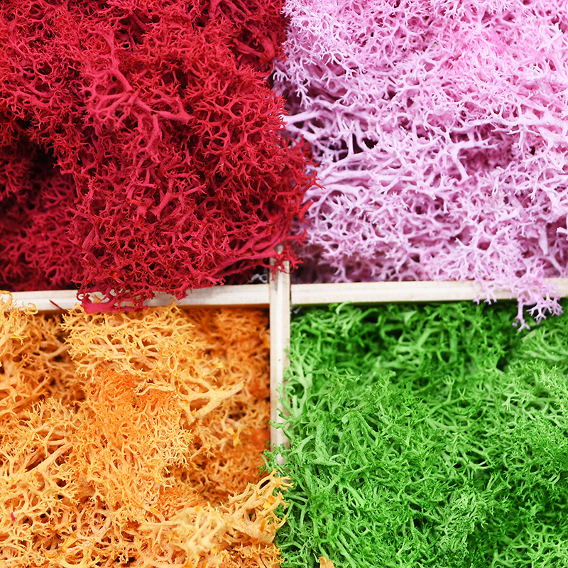 20/40g Artificial Green Plants - Sphagnum Moss Dry recensie en prijs