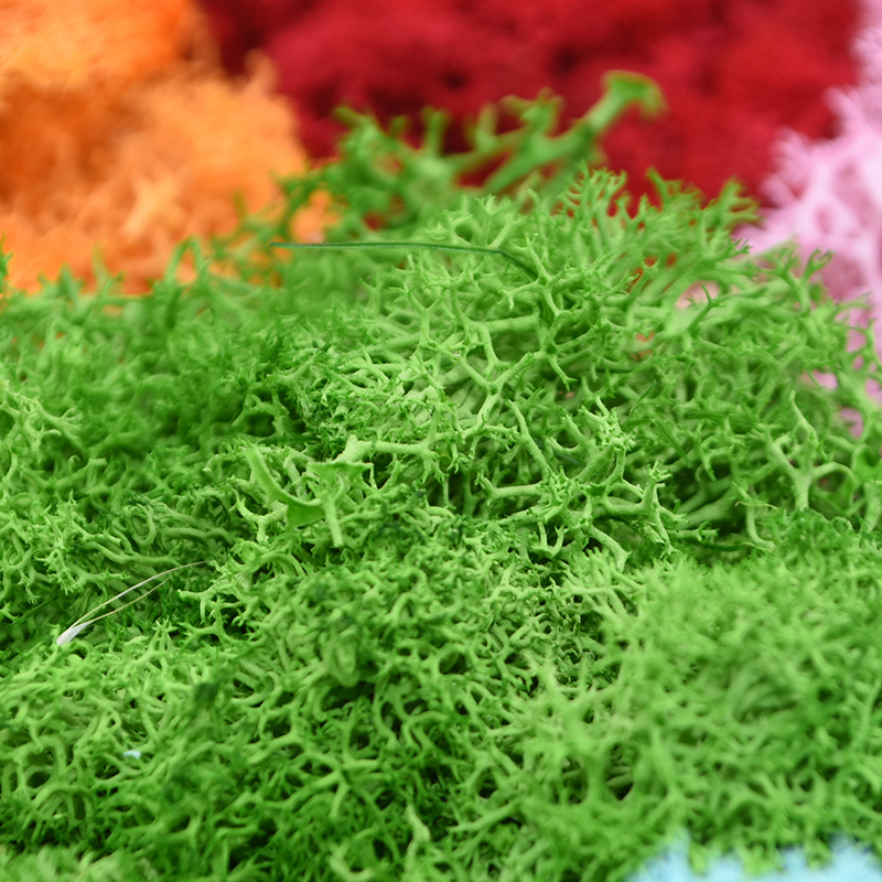 20/40g Artificial Green Plants - Sphagnum Moss Dry recensie en prijs