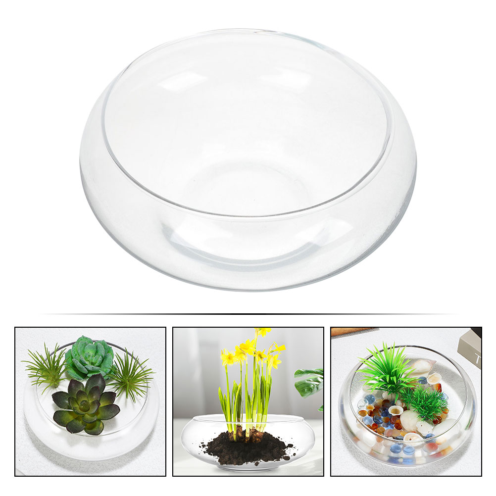 Wide Mouth Glass Vase Narcissu - Propagation Station Vase recensie en prijs