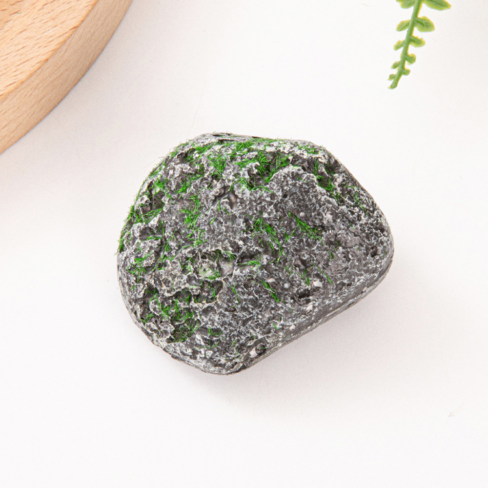 10PCS Mossy Gray Stone Multi-s - Sphagnum Moss Dry recensie en prijs