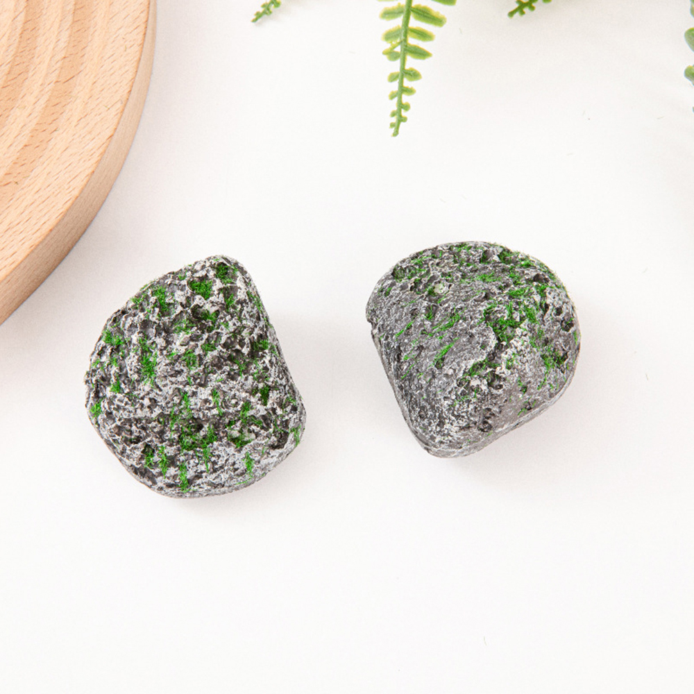 10PCS Mossy Gray Stone Multi-s - Sphagnum Moss Dry recensie en prijs