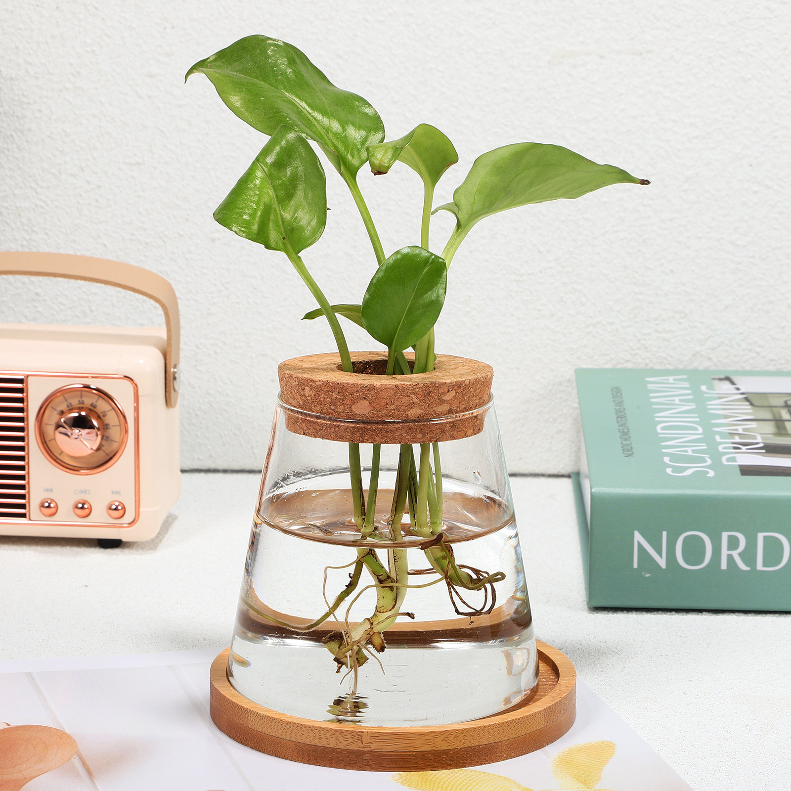 2Pcs Water Planters Glass Prop - Propagation Station Vase recensie en prijs