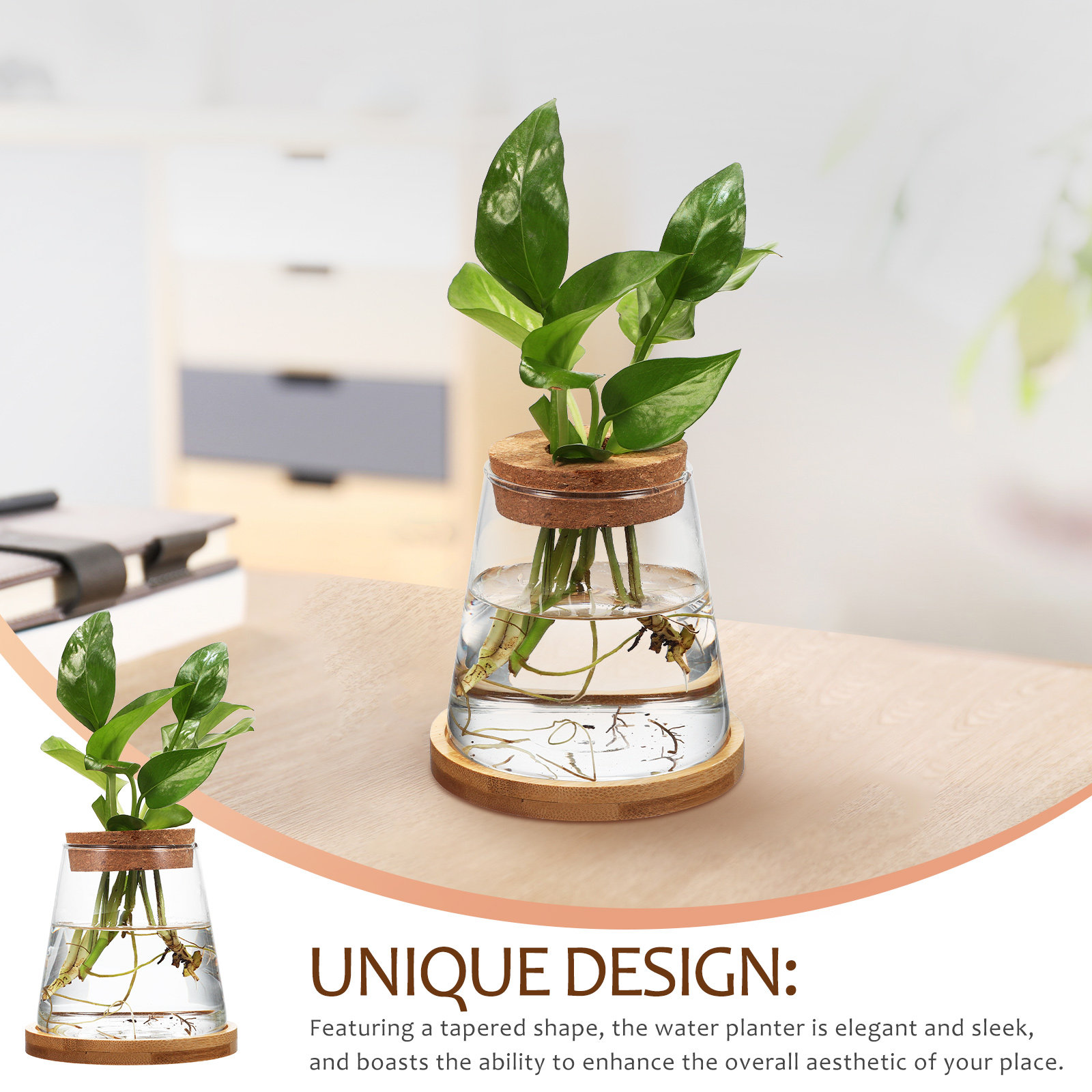 2Pcs Water Planters Glass Prop - Propagation Station Vase recensie en prijs