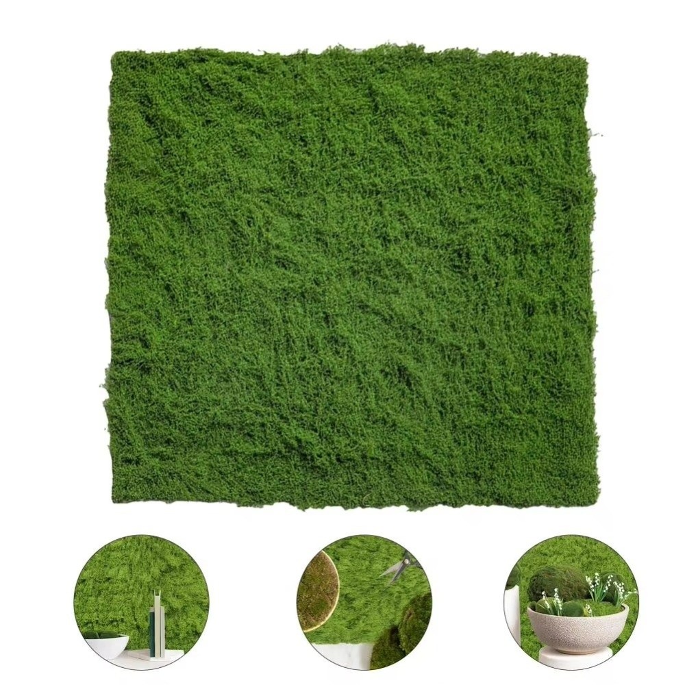 DIY Artificial Grass Rug Lifel - Sphagnum Moss Dry recensie en prijs
