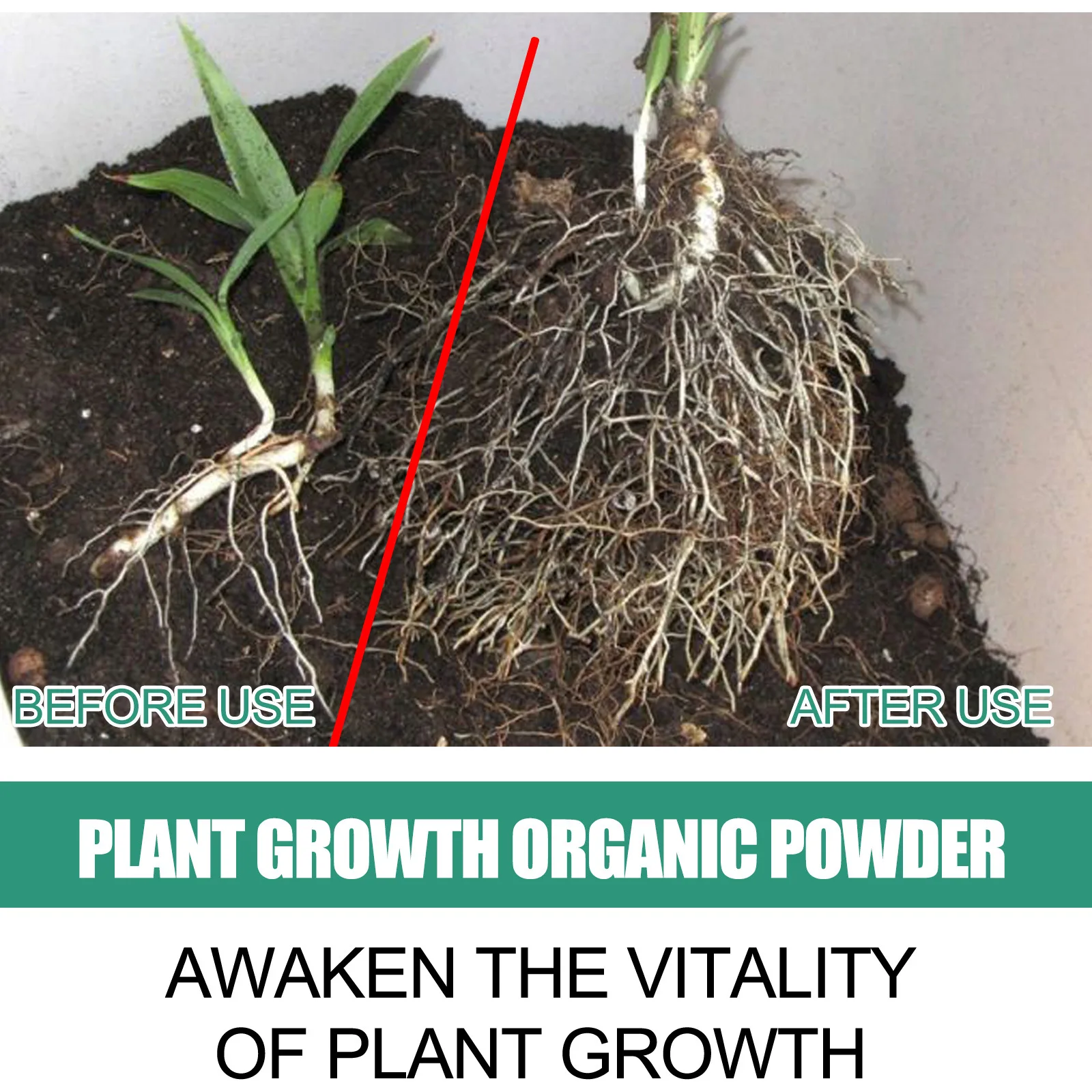 Fast Rooting Powder Plant Soil - Rooting Hormone Powder recensie en prijs