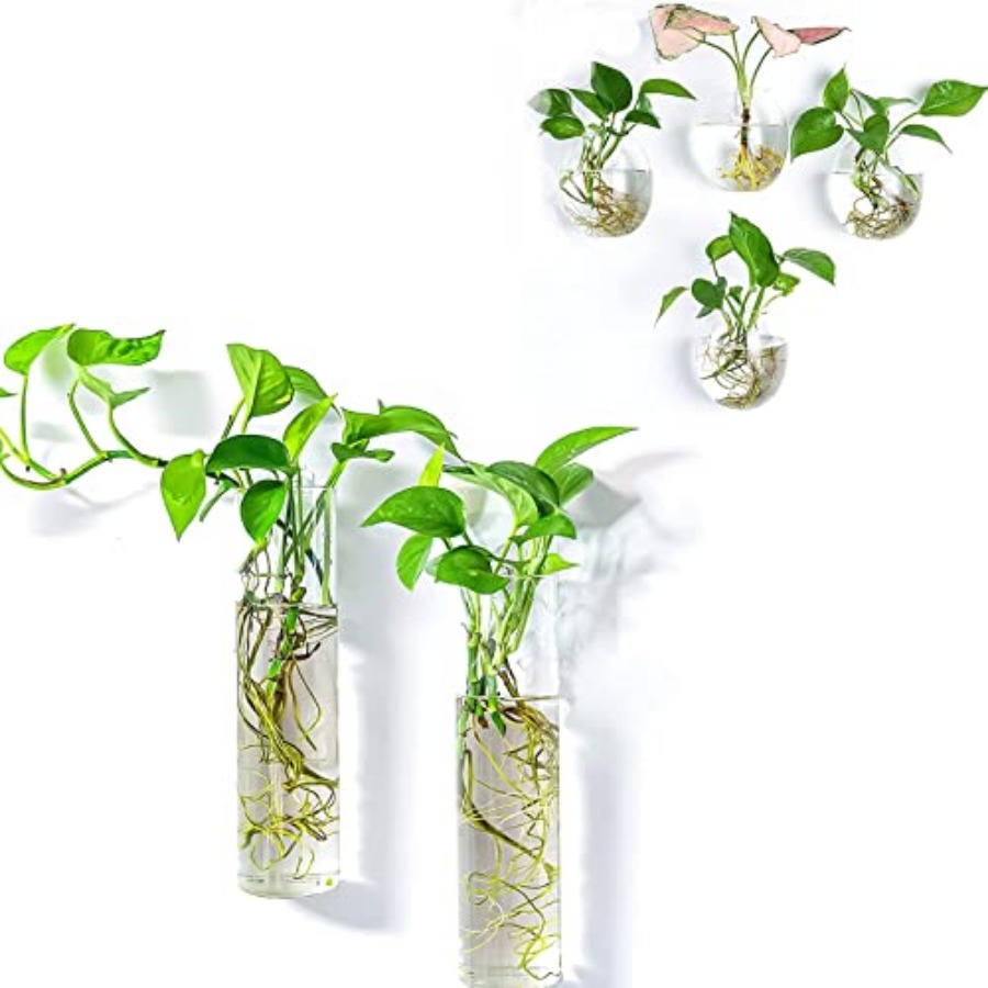 Wall Planter Terrariums Propag - Propagation Station Vase recensie en prijs