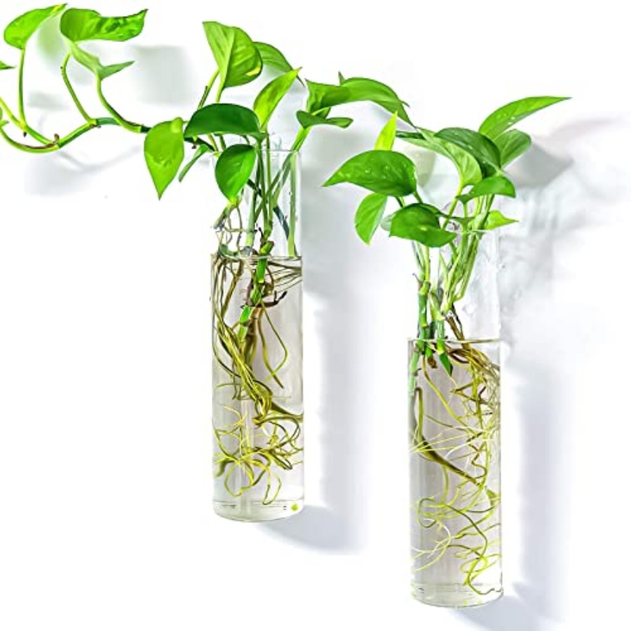 Wall Planter Terrariums Propag - Propagation Station Vase recensie en prijs