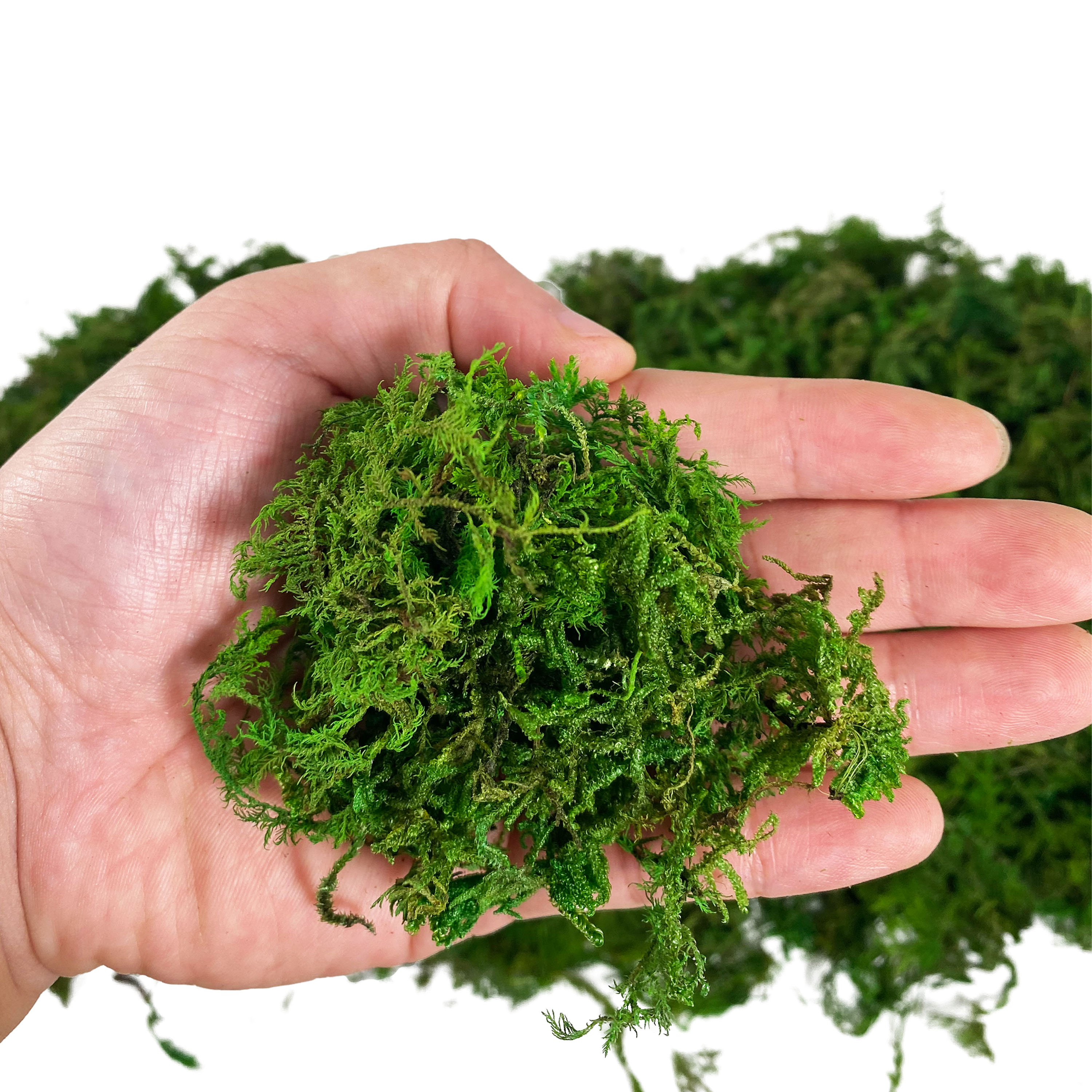 Artificial Fake Moss, Craft Mo - Sphagnum Moss Dry recensie en prijs