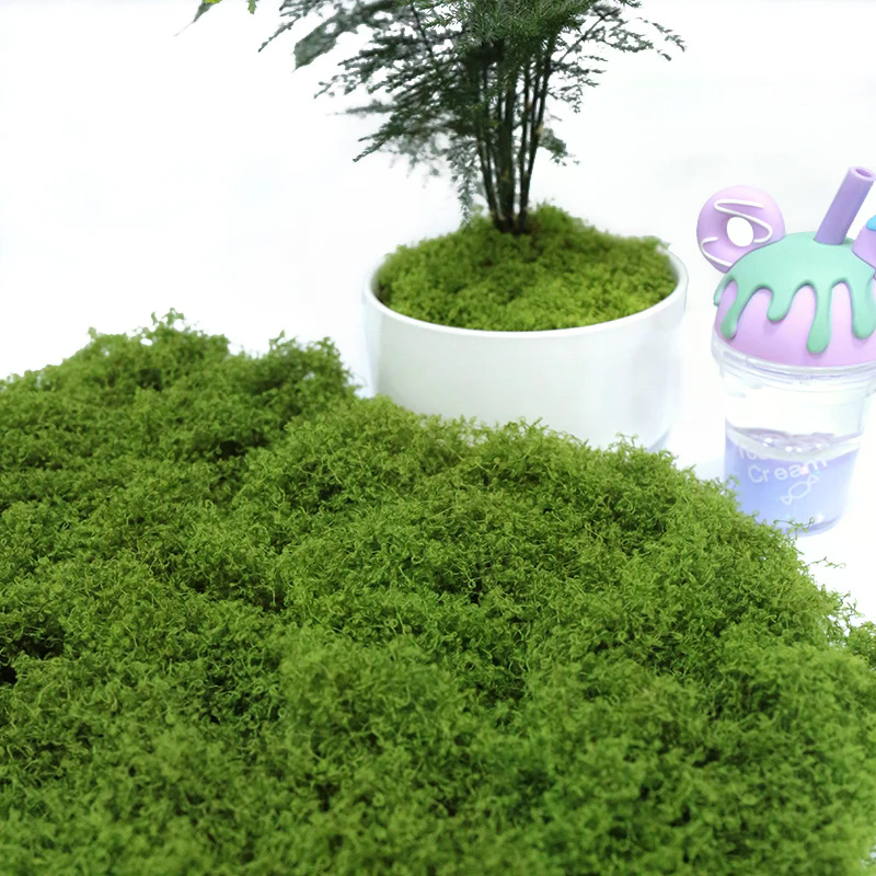 50g Fake Moss DIY Crafts Grass - Sphagnum Moss Dry recensie en prijs