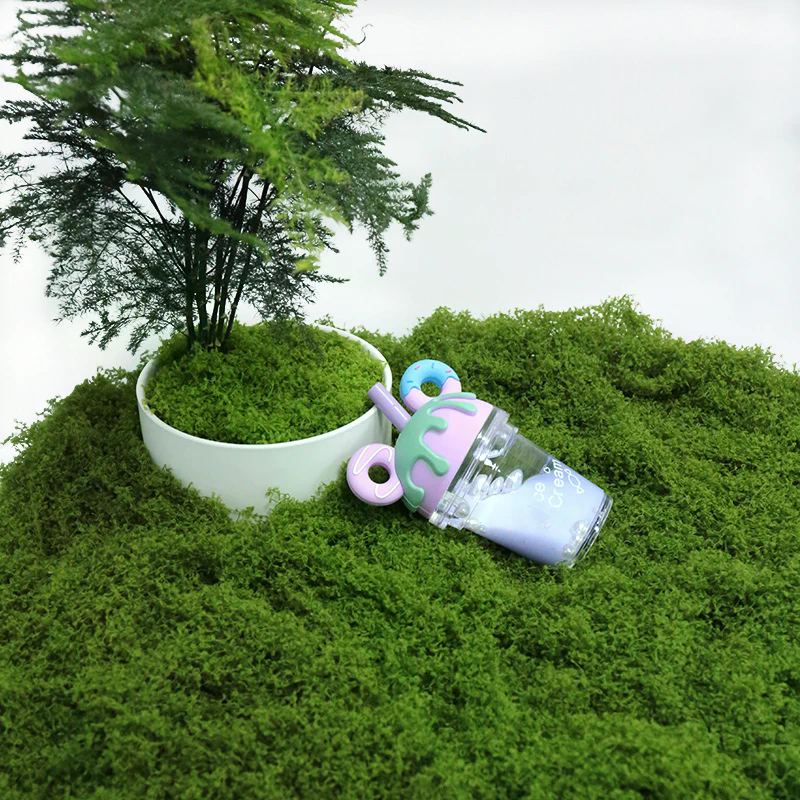 50g Fake Moss DIY Crafts Grass - Sphagnum Moss Dry recensie en prijs