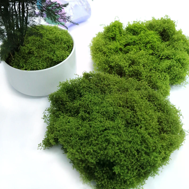 50g Fake Moss DIY Crafts Grass - Sphagnum Moss Dry recensie en prijs