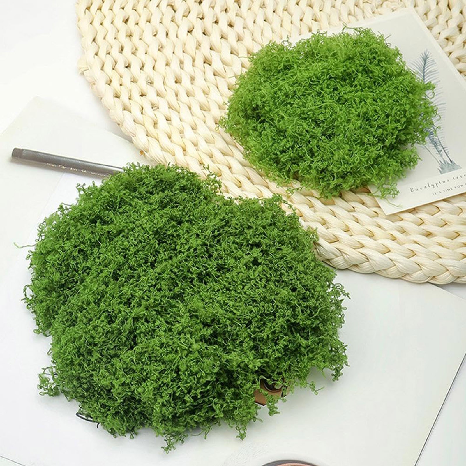 50/200g Artificial Moss For De - Sphagnum Moss Dry recensie en prijs