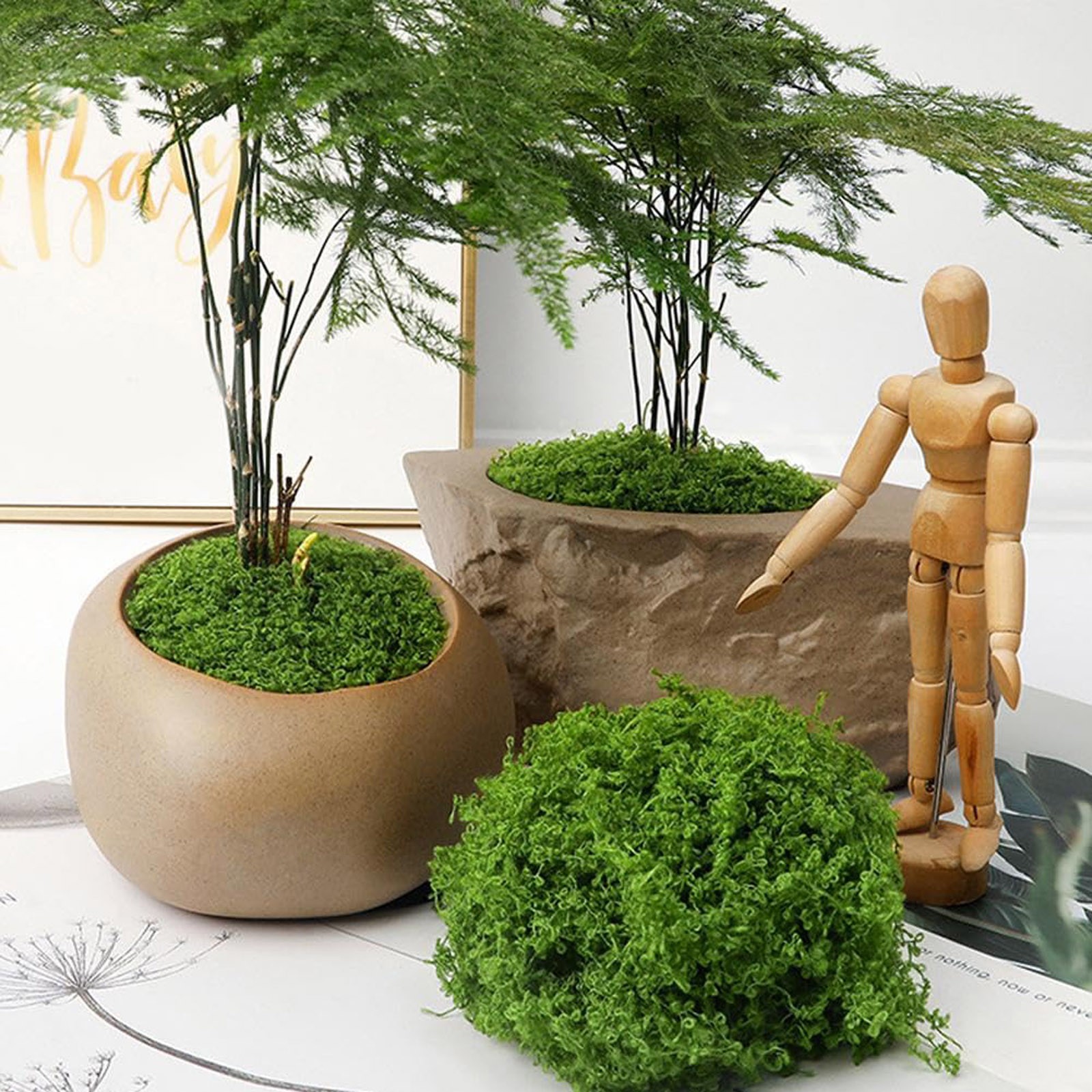50/200g Artificial Moss For De - Sphagnum Moss Dry recensie en prijs