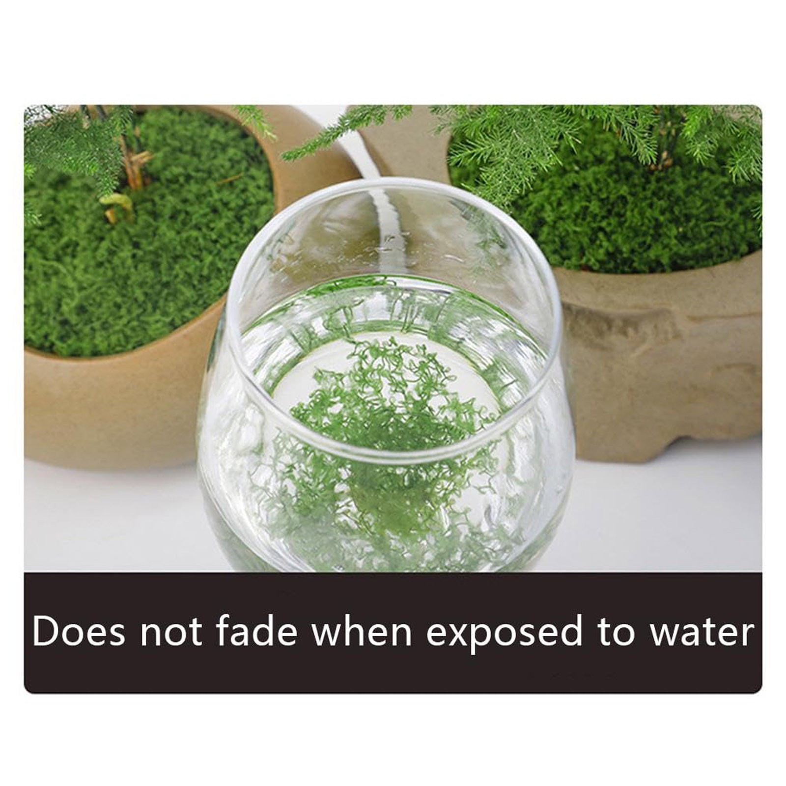 50/200g Artificial Moss For De - Sphagnum Moss Dry recensie en prijs