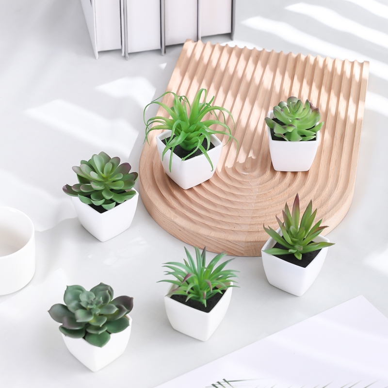 6PCS (1SET) Artificial Plant E - Sphagnum Moss Dry recensie en prijs