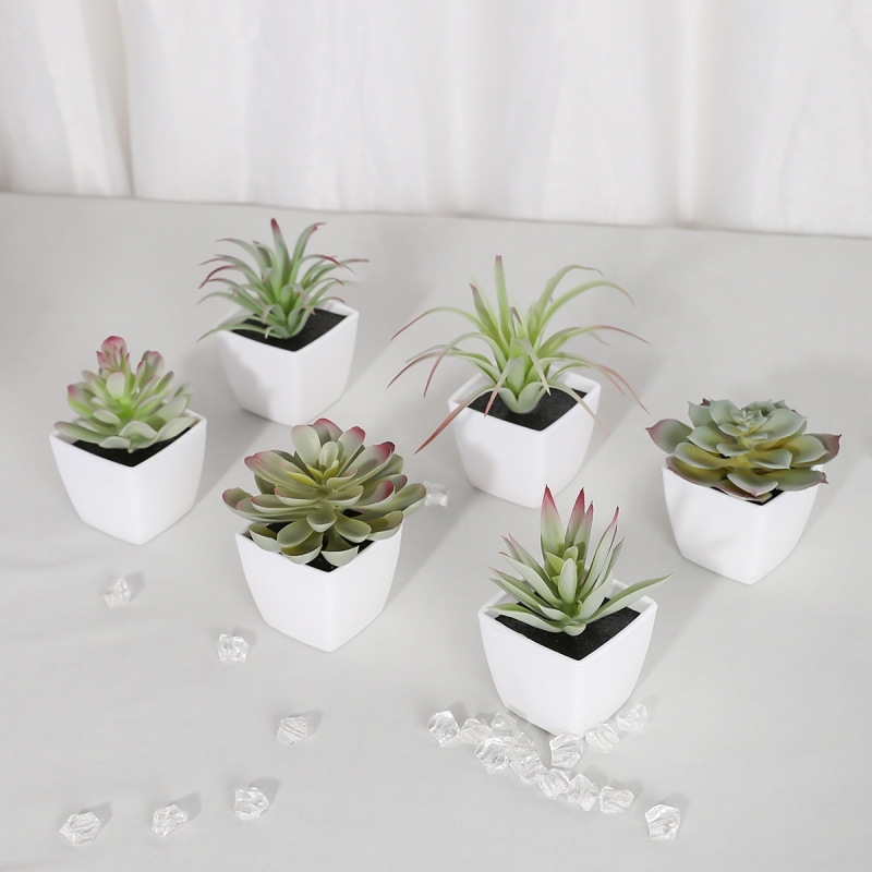 6PCS (1SET) Artificial Plant E - Sphagnum Moss Dry recensie en prijs