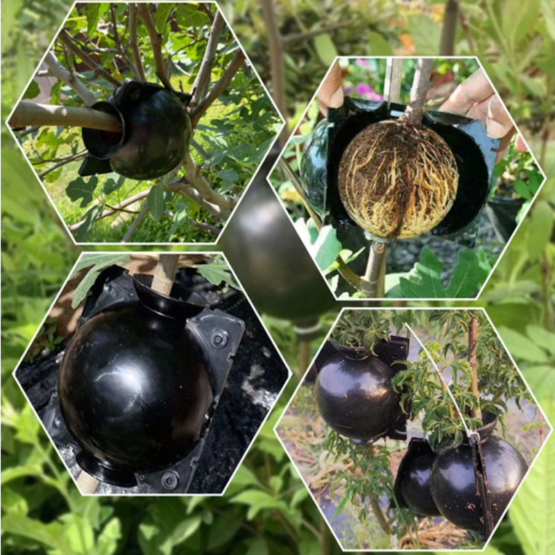 Garden Orchard Plants Grafting - Rooting Gel Clone recensie en prijs