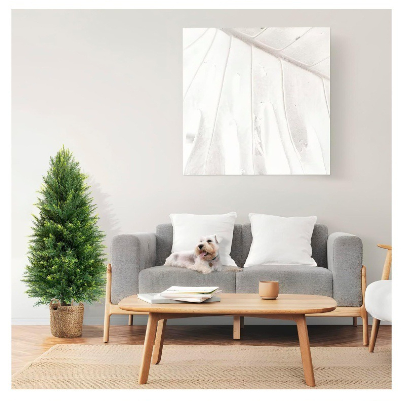 Simulation Pine And Cypress Po - Sphagnum Moss Dry recensie en prijs