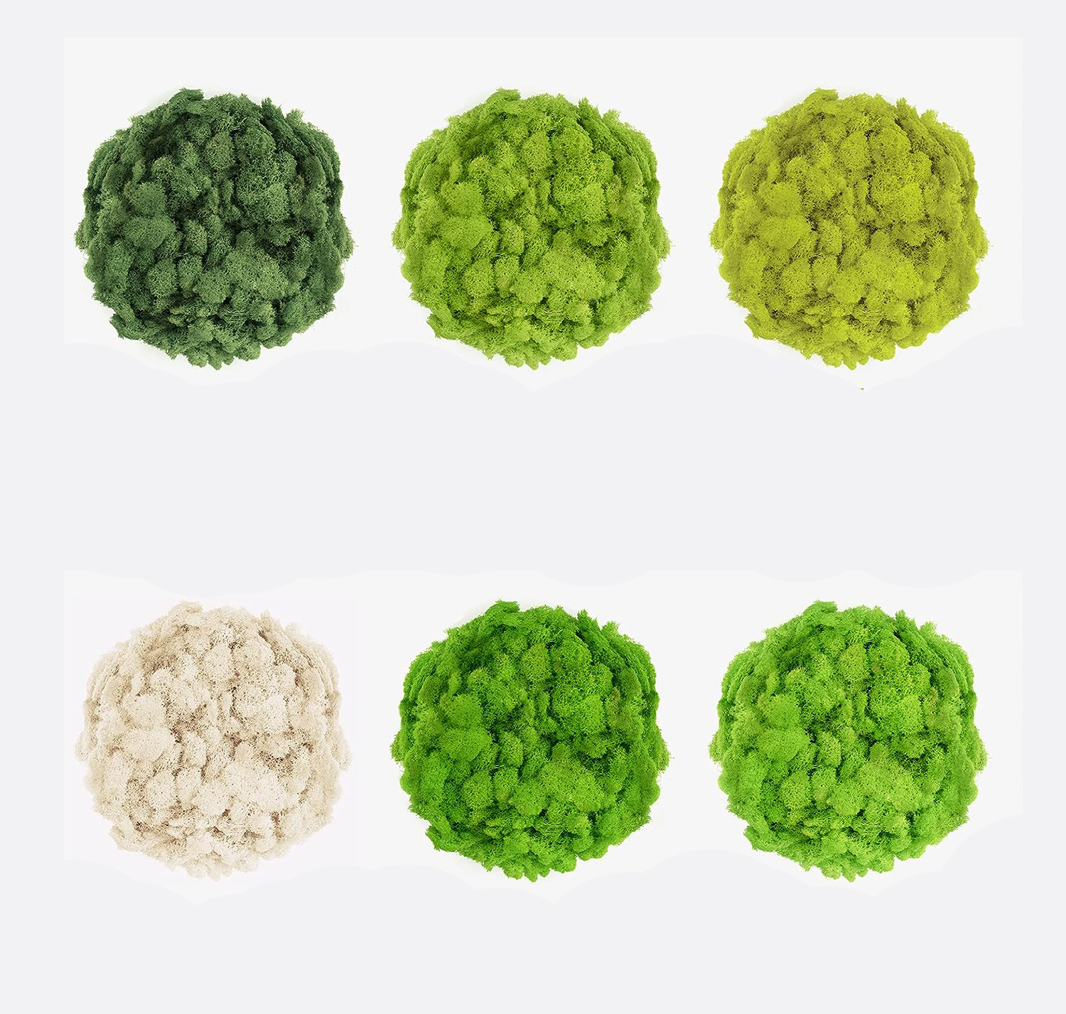 20/40/60g Eternal Life Moss Ar - Sphagnum Moss Dry recensie en prijs