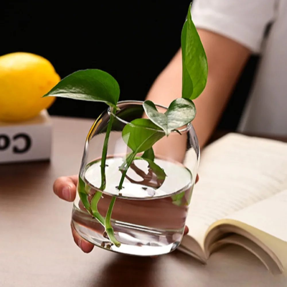 Creative Hydroponic Plant Glas - Propagation Station Vase recensie en prijs