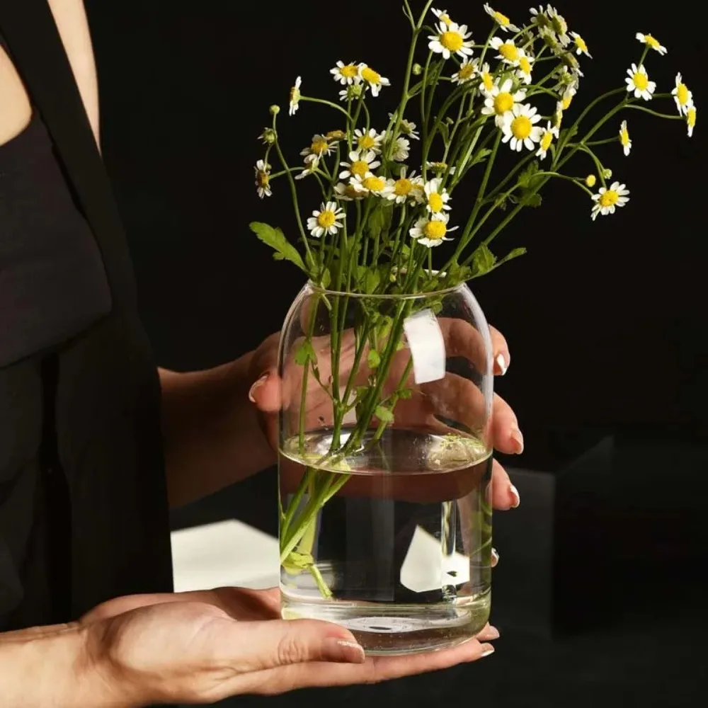 Creative Hydroponic Plant Glas - Propagation Station Vase recensie en prijs