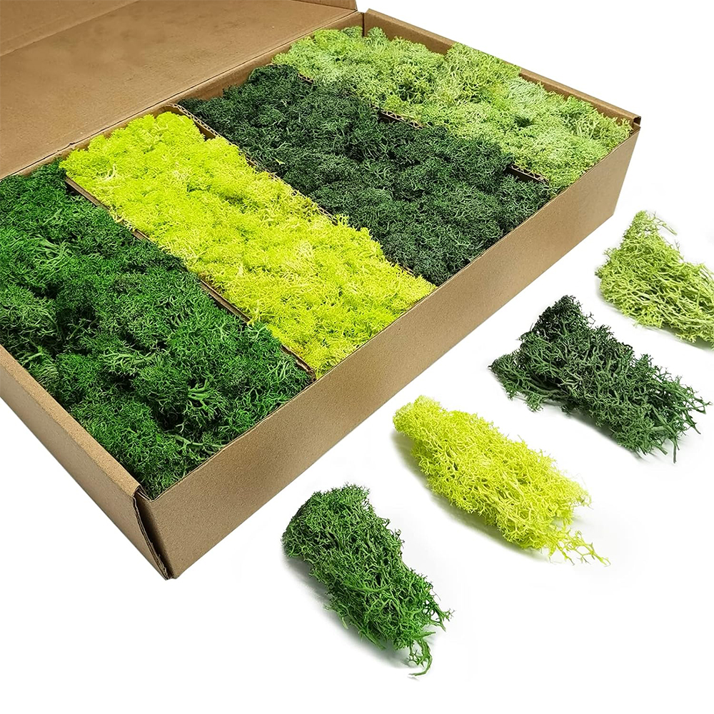 Artificial Green Plants Eterna - Sphagnum Moss Dry recensie en prijs