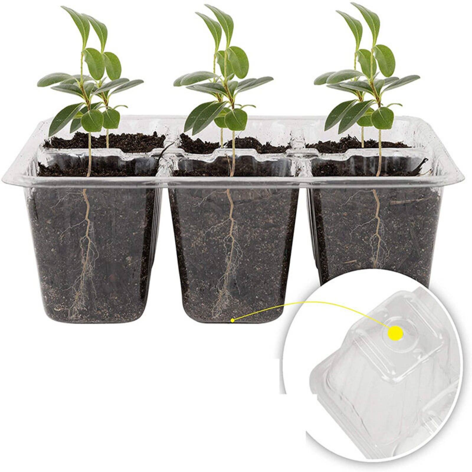 12 Compartment Germination Tra - Humidity Dome Kit recensie en prijs
