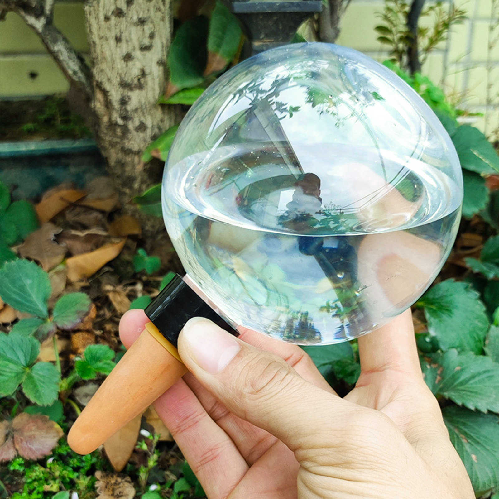 500ML Automatic Plant Watering - Self Watering Insert recensie en prijs