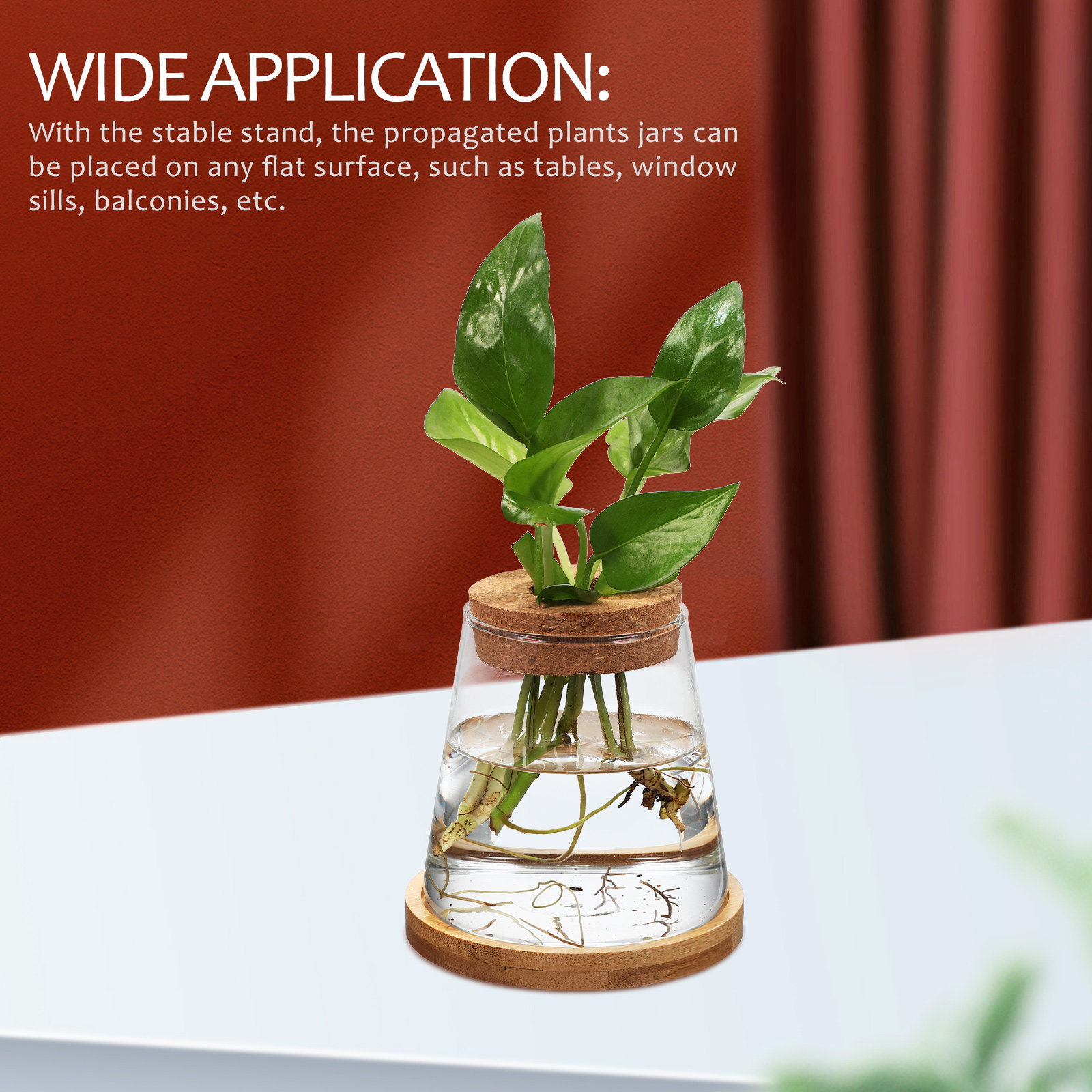 2Pcs Hydroponic Plants Propaga - Propagation Station Vase recensie en prijs