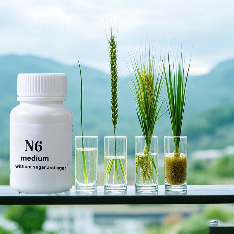 N6 Medium Wtihout Sugar Or Aga - Agar Tissue Culture recensie en prijs