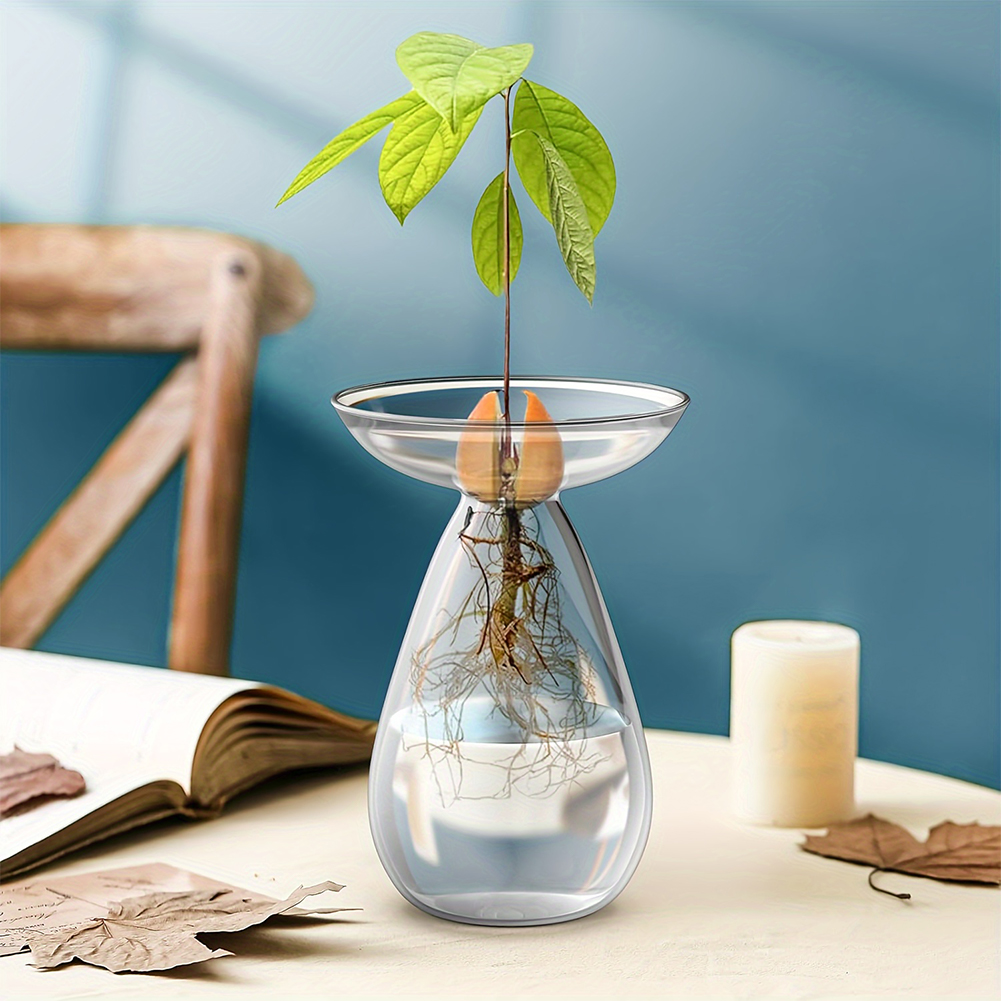 Avocado Seed Starter Hydroponi - Propagation Station Vase recensie en prijs