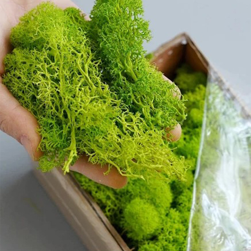 Artificial Green Plants Mini L - Sphagnum Moss Dry recensie en prijs