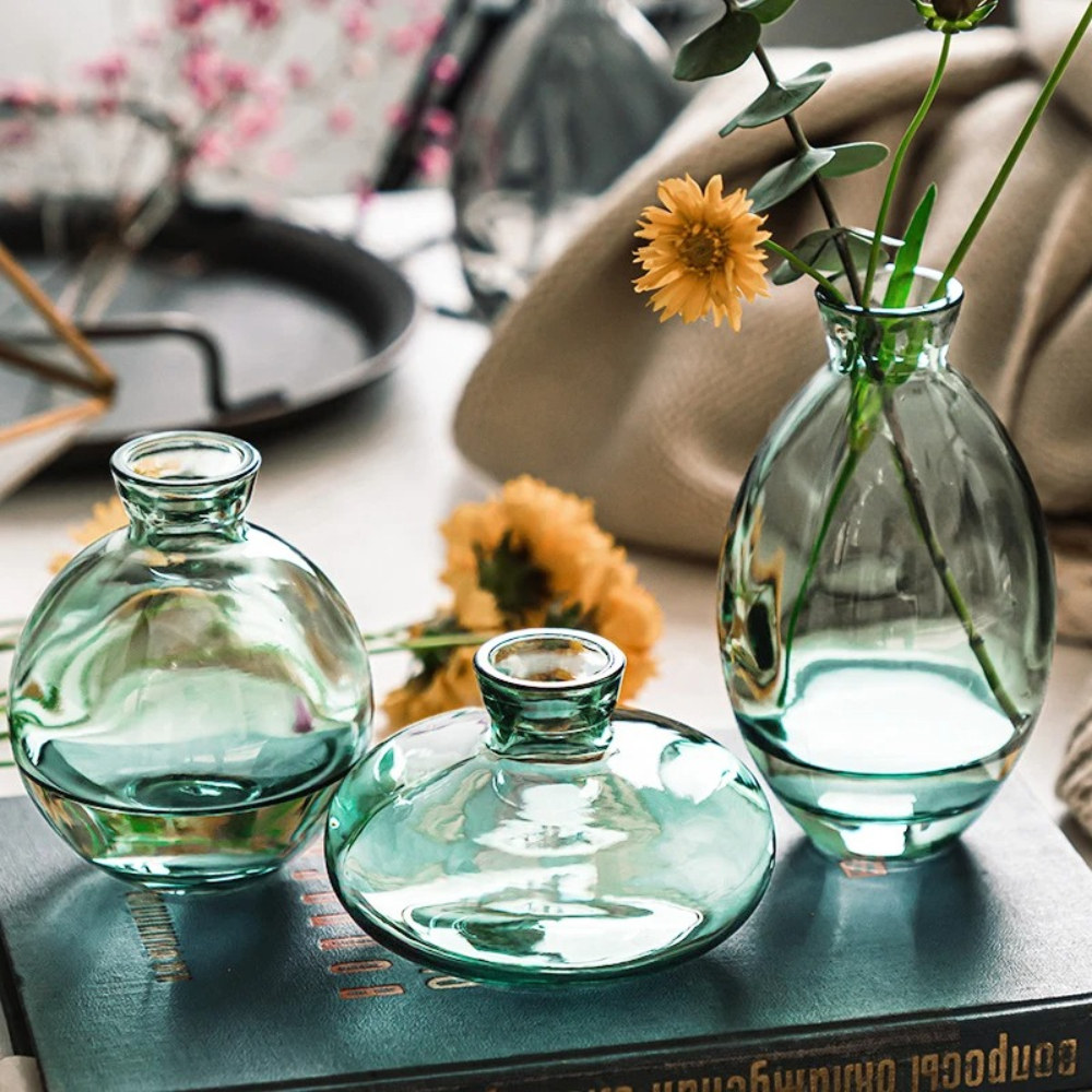 Nordic Transparent Glass Vase  - Propagation Station Vase recensie en prijs
