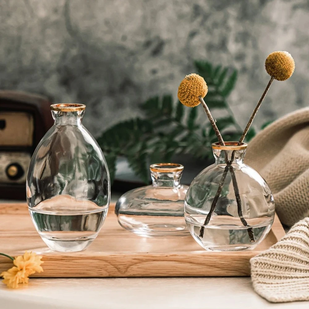 Nordic Transparent Glass Vase  - Propagation Station Vase recensie en prijs