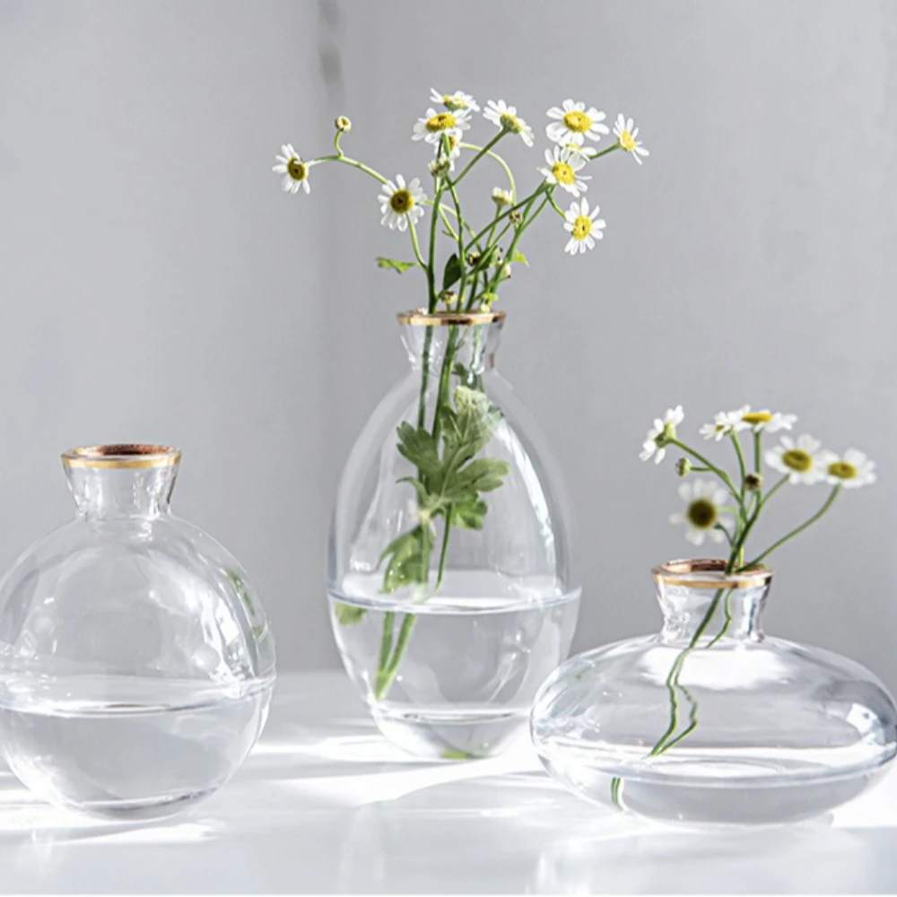 Nordic Transparent Glass Vase  - Propagation Station Vase recensie en prijs