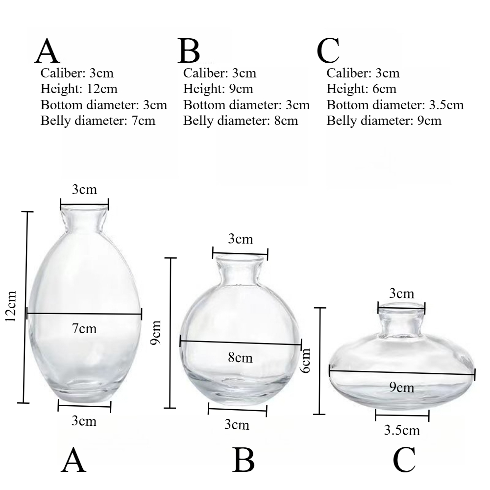 Nordic Transparent Glass Vase  - Propagation Station Vase recensie en prijs