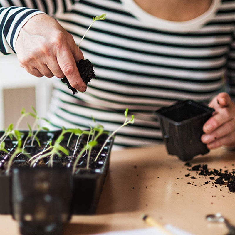 Starter10 Pack Seed Tray, 72 C - Propagation Tray 72 recensie en prijs