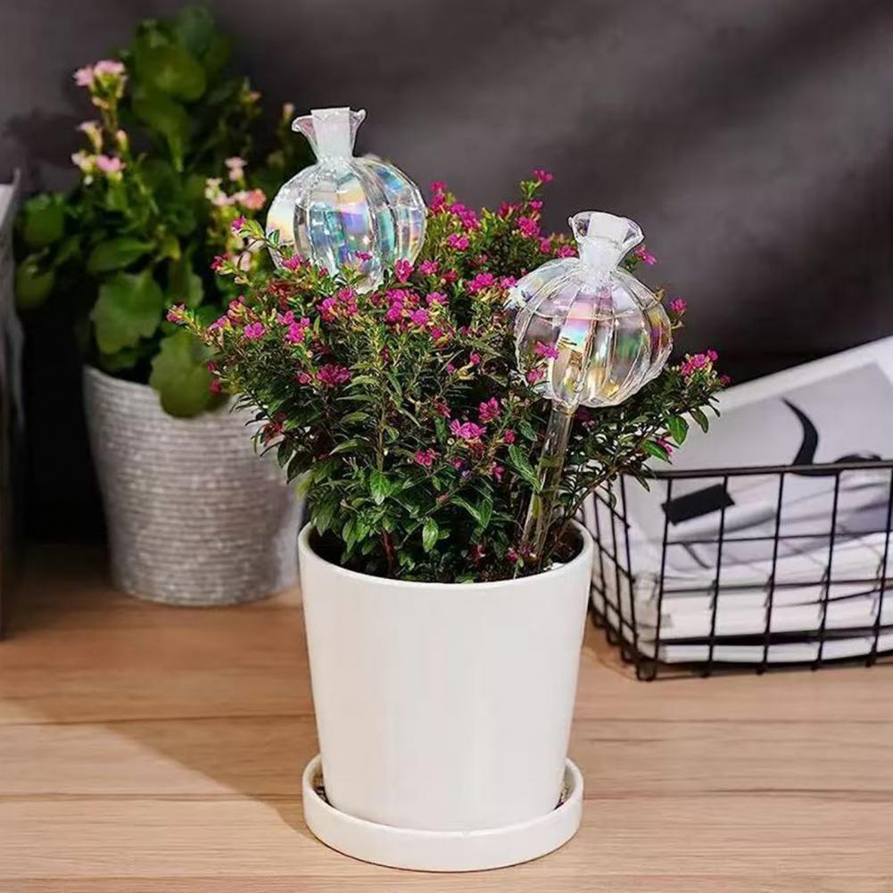 24cm Cactus Self Watering Bulb - Self Watering Insert recensie en prijs