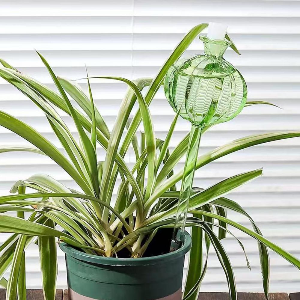 24cm Cactus Self Watering Bulb - Self Watering Insert recensie en prijs