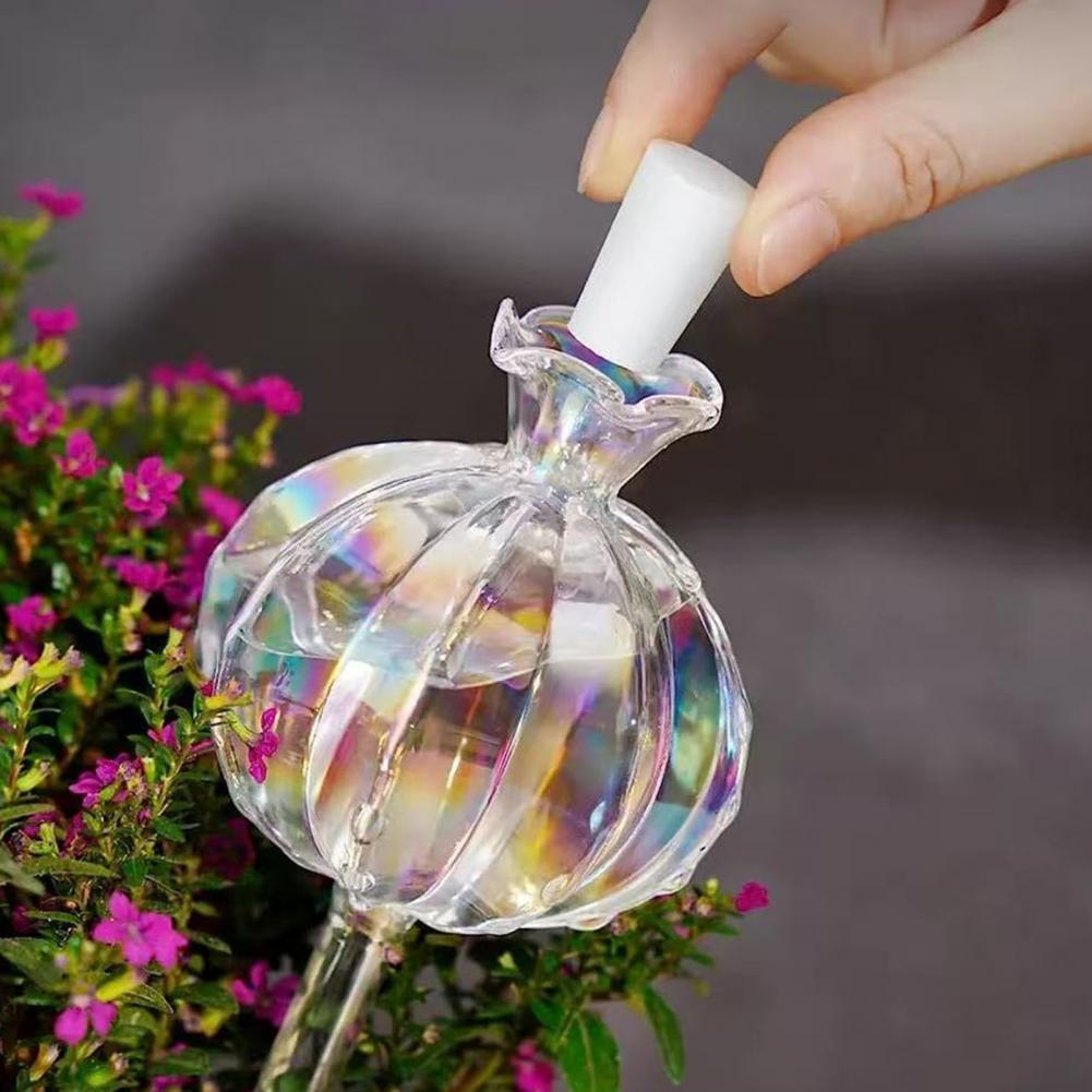 24cm Cactus Self Watering Bulb - Self Watering Insert recensie en prijs