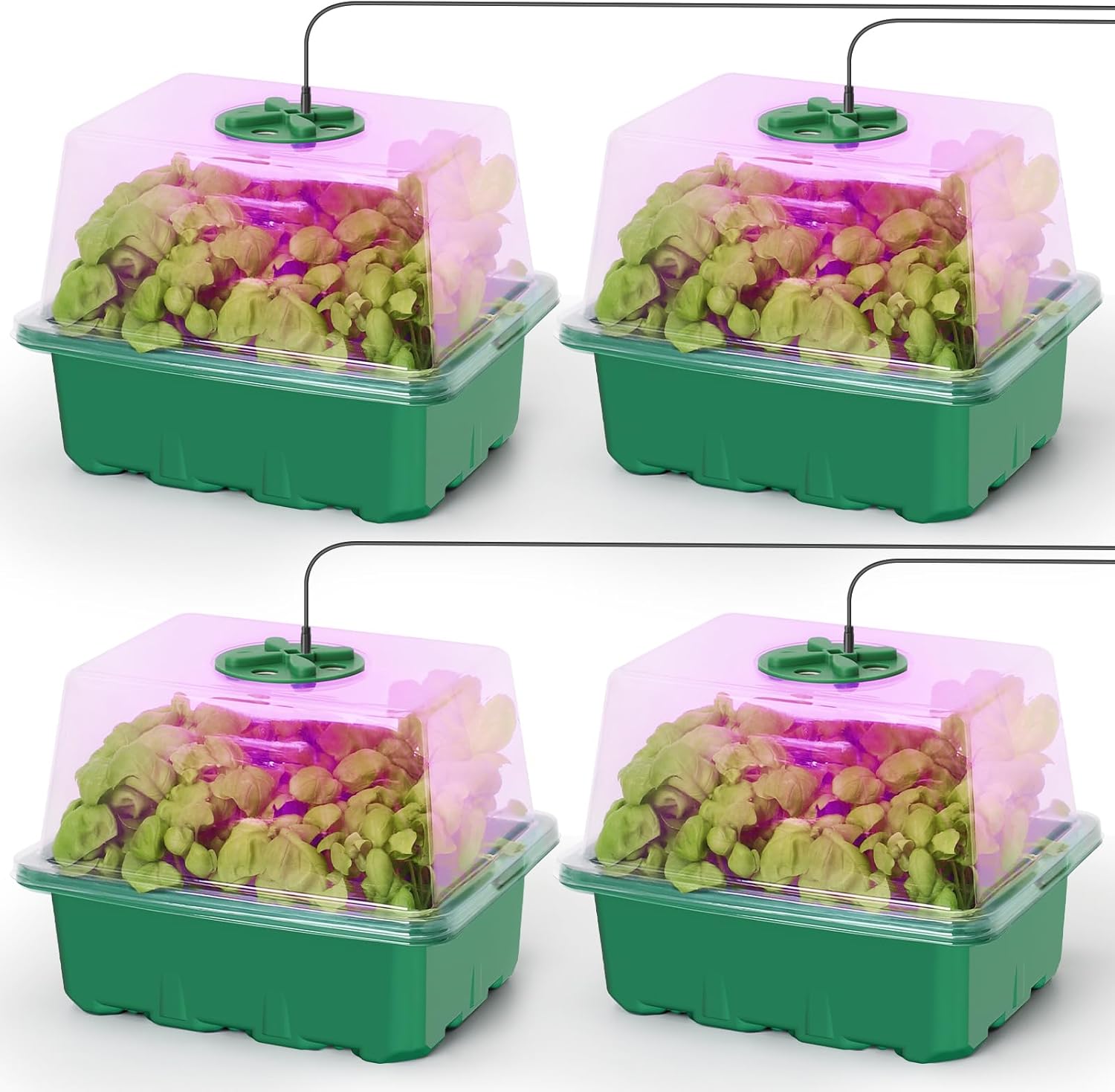 Seed Starter Kit with Grow Lig - Humidity Dome Kit recensie en prijs
