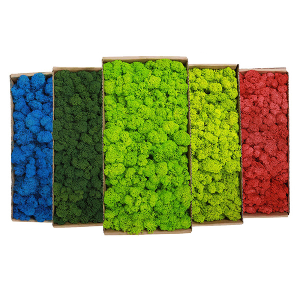 200g Artificial Green Plants M - Sphagnum Moss Dry recensie en prijs