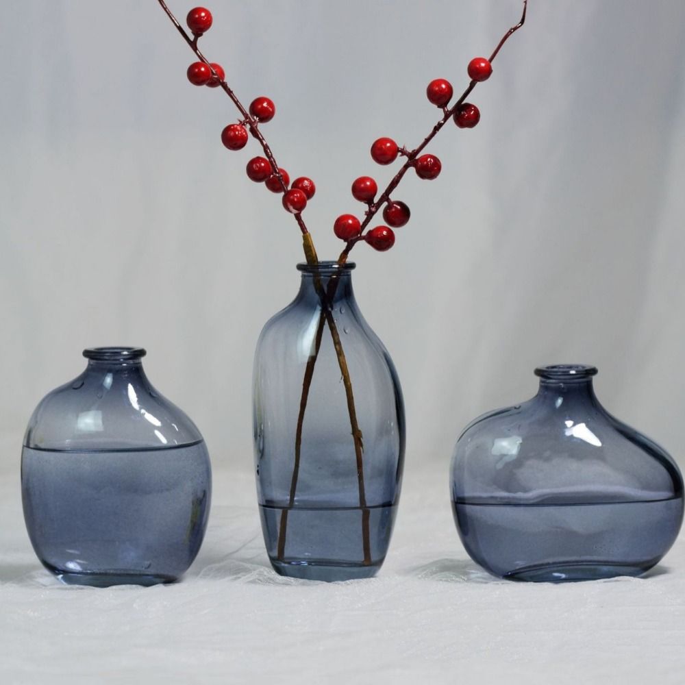 Fashion Retro Flower Vase Glas - Propagation Station Vase recensie en prijs