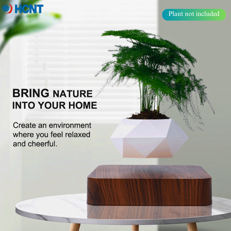 Floating Plant Pot Magnetic Le - Propagation Station Vase recensie en prijs
