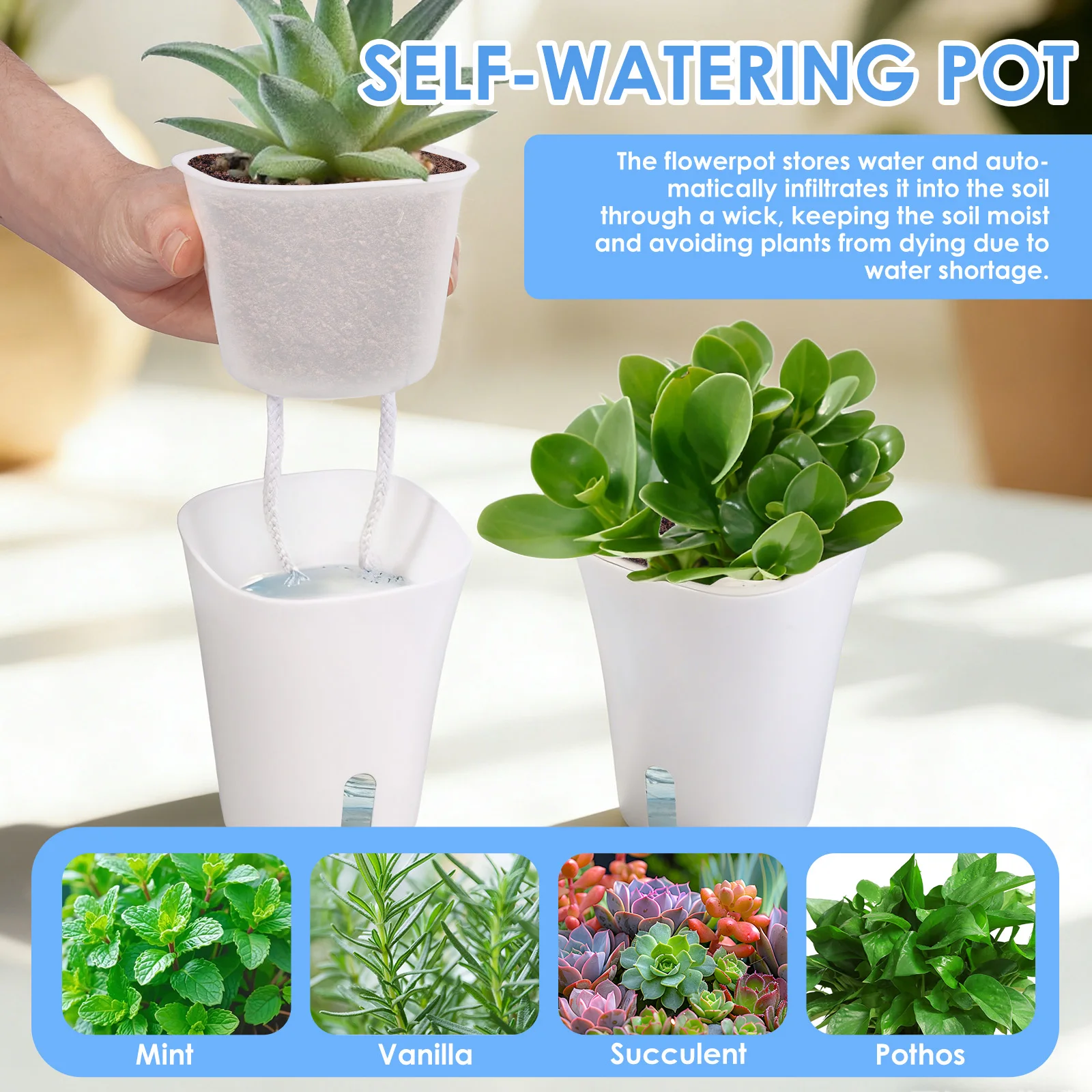 10 Pcs Self Watering Planter L - Self Watering Insert recensie en prijs