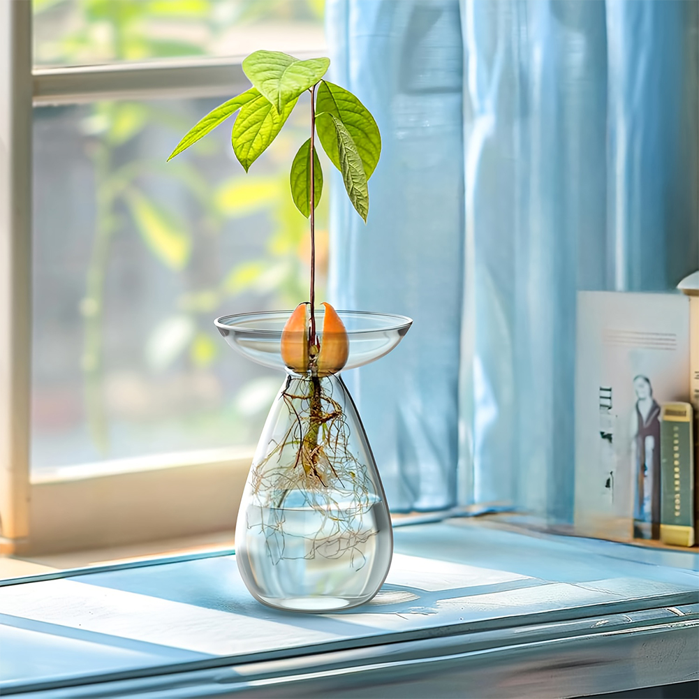 Avocado Seed Starter Vase Tran - Propagation Station Vase recensie en prijs